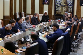 تأکید رییس سازمان حج وزیارت بر ضرورت صیانت از حقوق زائران در موضوع بیمه اربعین
