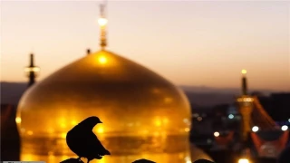 اعلام ویژه برنامه‌های شهادت حضرت رقیه (س) در حرم رضوی