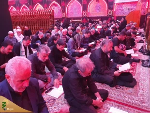 دعای ندبه زائران ایرانی در سال روز شهادت حضرت رقیه (س) در کربلای معلی 3