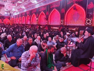 دعای ندبه زائران ایرانی در سال روز شهادت حضرت رقیه (س) در کربلای معلی 6