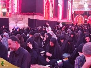 دعای ندبه زائران ایرانی در سال روز شهادت حضرت رقیه (س) در کربلای معلی 8