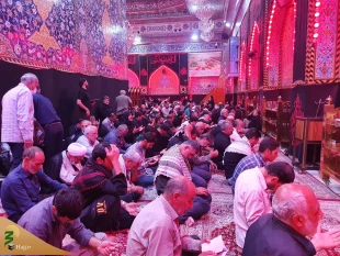 دعای ندبه زائران ایرانی در سال روز شهادت حضرت رقیه (س) در کربلای معلی 13