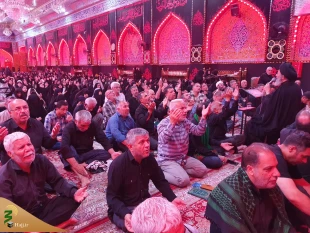 دعای ندبه زائران ایرانی در سال روز شهادت حضرت رقیه (س) در کربلای معلی 15