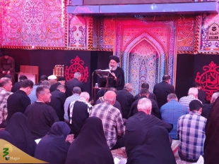 دعای ندبه زائران ایرانی در سال روز شهادت حضرت رقیه (س) در کربلای معلی 16
