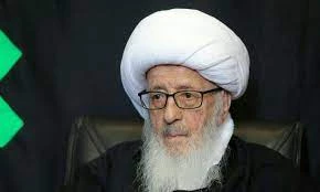 توصیه‌های آیت‌الله وحید خراسانی به شرکت‌کنندگان در پیاده‌روی اربعین