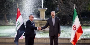 درخواست امیرعبداللهیان از زائران ایرانی اربعین