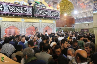 سرپرست حجاج ایرانی حرم امامین عسکریین را زیارت کرد 5