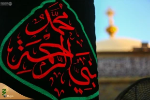 حرم حضرت علی (ع) در سوگ رحلت پیامبر اسلام (ص) سیاهپوش شد 7