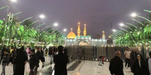 رئیس سازمان حج و زیارت:

۶۰ درصد مبلغ تورها هزینه پرواز است