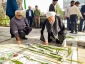 mena-2
