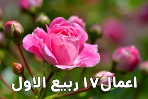 اعمال هفدهم ماه ربیع‌الاول