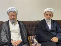 دیدار حضرت آیت الله قمی با نماینده بعثه رهبری در عراق 2