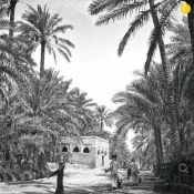 تخریب مسسجد تاریخی شیعیان عربستان توسط آل سعود 5