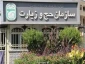 سازمان حج و زیارت؛

رسانه‌ ها درخصوص انتشار اخبار حوزه حج و زیارت، از کارشناسان اطلاع دقیق کسب کنند 2