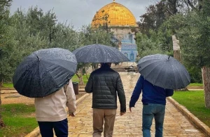 مشارکت ۵۰ هزار فلسطینی در نماز جمعه مسجدالاقصی