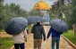 مشارکت ۵۰ هزار فلسطینی در نماز جمعه مسجدالاقصی 2