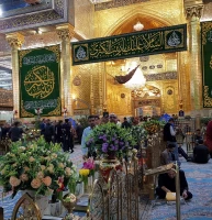 حال و هوای کربلای معلا در میلاد حضرت زینب (س) 7