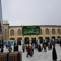 حال و هوای کربلای معلا در میلاد حضرت زینب (س) 12