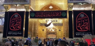 کربلا در عزای مادر مهربان امت آسمانی تر از همیشه 3