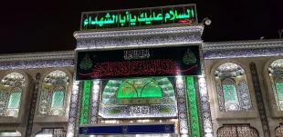 کربلا در عزای مادر مهربان امت آسمانی تر از همیشه 8