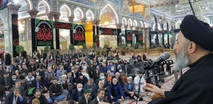کربلا در عزای مادر مهربان امت آسمانی تر از همیشه 10