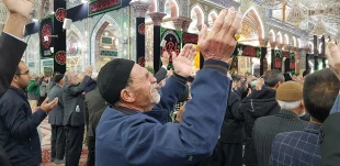 کربلا در عزای مادر مهربان امت آسمانی تر از همیشه 13