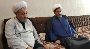 در کربلا برگزار شد؛

نشست بررسی مشکلات زائران عتبات عالیات