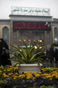 تصاویری از بارش باران در بین الحرمین 3