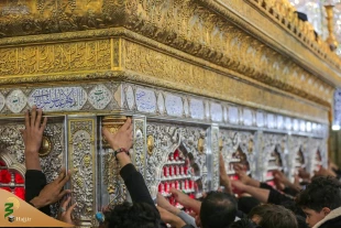 صحن مطهر علوی در نجف اشرف میزبان عزاداران شهادت حضرت فاطمه (س) 3