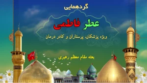 تکریم از کادر درمان ایام کرونا در حرم امام حسین(ع) با حضور وزیر بهداشت
