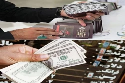 حسینی مطرح کرد؛

اقدام سازمان حج برای اختصاص ارز سفر به عتبات عالیات 2