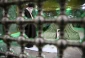 در آستانه دهه فجر و چهل‌وچهارمین سالروز پیروزی شکوهمند انقلاب اسلامی؛

رهبر انقلاب اسلامی در مرقد امام خمینی(ره) و گلزار شهدا حضور یافتند 2