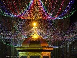 حرم مطهر رضوی در شب میلاد امام جواد(ع) گلباران شد 2