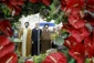 Hajj and Pilgrimage Officials Renew Allegiance to Ideals of Imam Khomeini 5