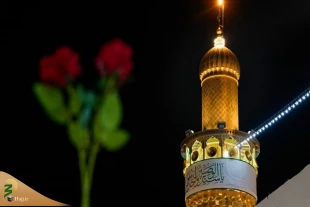 آمادگی نجف برای برگزاری مراسم ۱۳ رجب 4