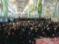 جشن میلاد امام علی (س) در کربلا برگزار شد 2