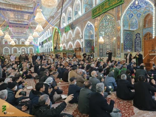 جشن میلاد امام علی (س) در کربلا برگزار شد 2