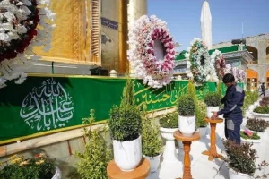گل‌آرایی آستان مطهر علوی به مناسبت اعیاد شعبانیه+عکس