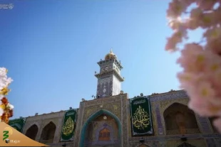 گل‌آرایی آستان مطهر علوی به مناسبت اعیاد شعبانیه+عکس 3