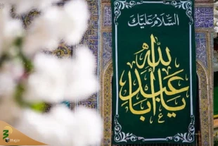 گل‌آرایی آستان مطهر علوی به مناسبت اعیاد شعبانیه+عکس 5