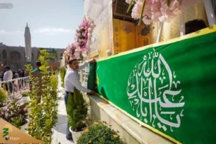 گل‌آرایی آستان مطهر علوی به مناسبت اعیاد شعبانیه+عکس 6