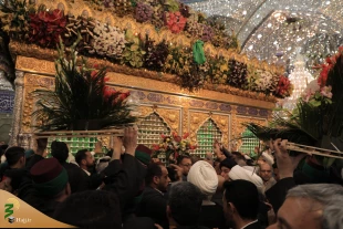 مضجع شریف علمدار کربلا گلباران شد+عکس 2