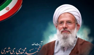 آیین نکوداشت آیت الله ری شهری در قم برگزار شد 3