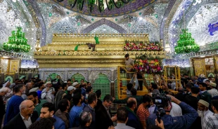 تزئین حرم امام علی(ع) در آستانه نیمه شعبان با شاخه های گل‌ طبیعی 4