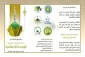 پایان کنفرانس وحدت اسلامی در عراق 2