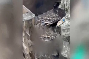 ادامه واکنش‌ها به قرآن‌سوزی در اوکراین؛ هشدار از شعله‌ور شدن نبردی مذهبی