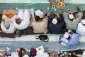 به مناسبت ماه مبارک رمضان؛

توزیع خرمای بسته بندی در مسجدالحرام 2