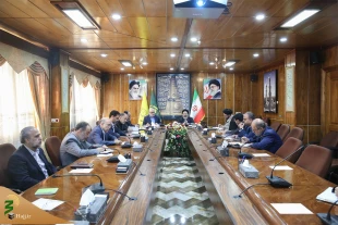 اعزام بیش از 340 هزار نفر در قالب کاروان های زیارتی به عتبات 2