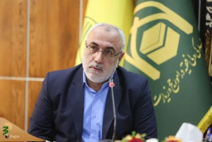 اعزام بیش از 340 هزار نفر در قالب کاروان های زیارتی به عتبات 6
