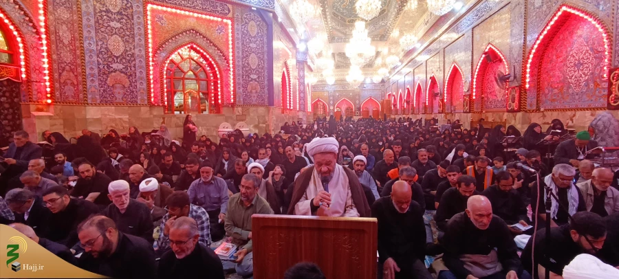 برگزاری احیاء شب قدر و عزاداری و سوگواری شهادت امام علی (ع) در کربلای معلا 6